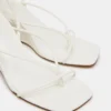 Appa White Appa White