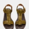 Brazinn Olive