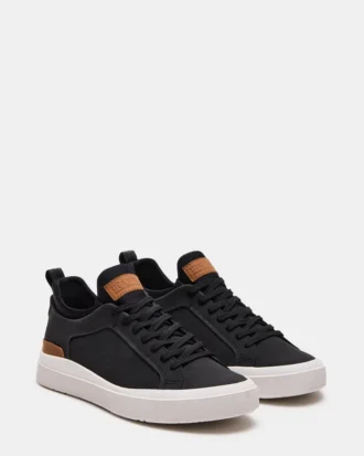 Dack Black