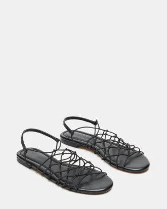 Libra Black